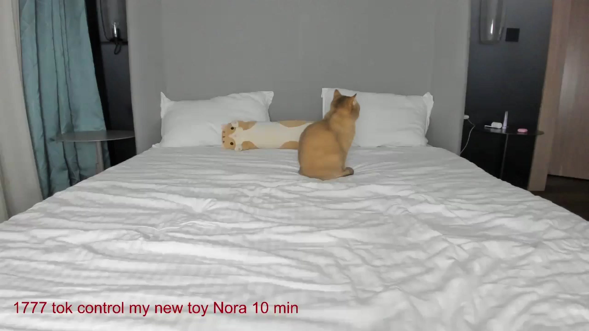 Gallery image thumbnail from CarolinaHerer's myfreecams stream on, 10/12/2024, 18:10 image 16 of 20
