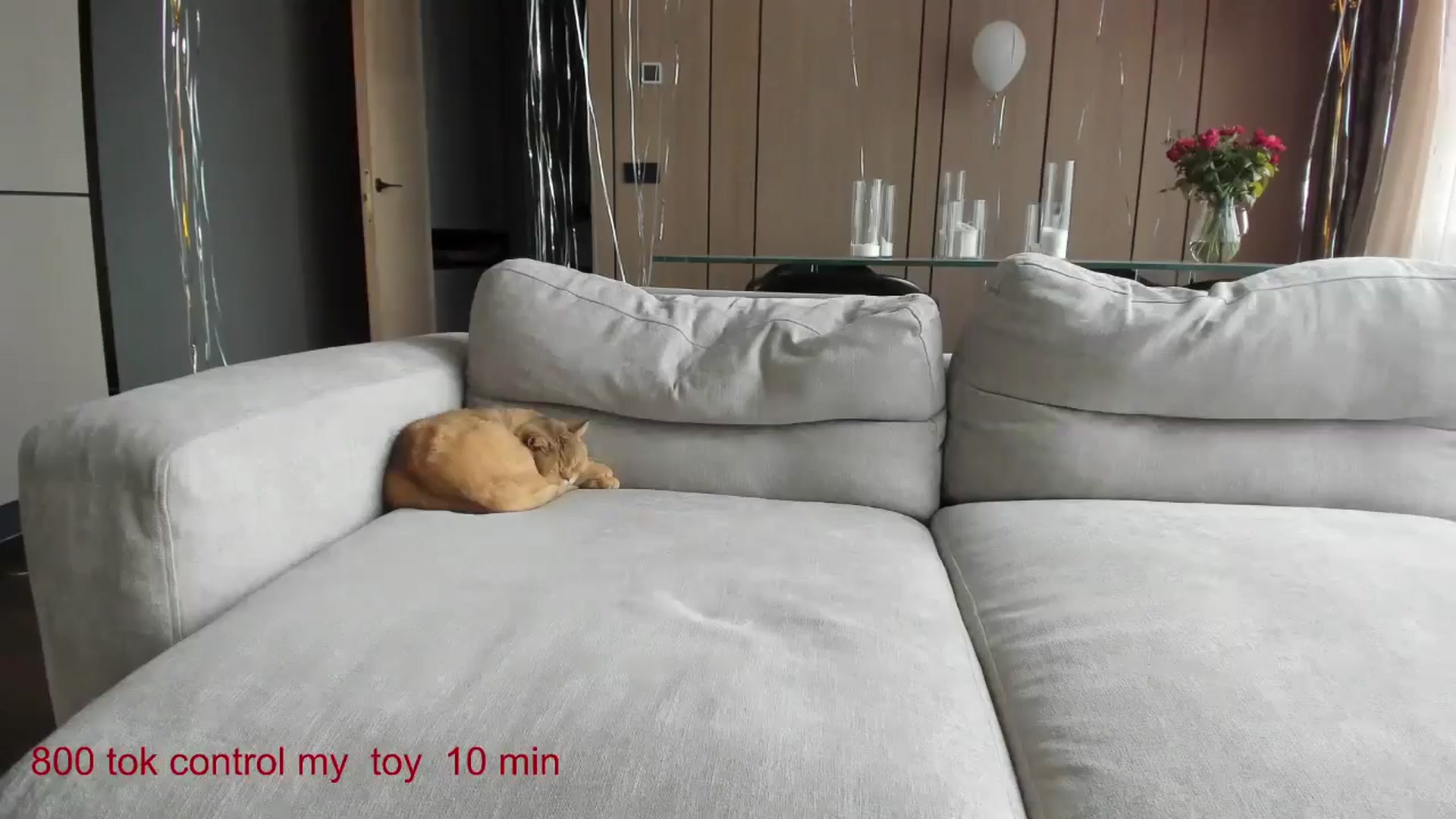 Gallery image thumbnail from CarolinaHerer's myfreecams stream on, 11/03/2024, 10:26 image 19 of 20