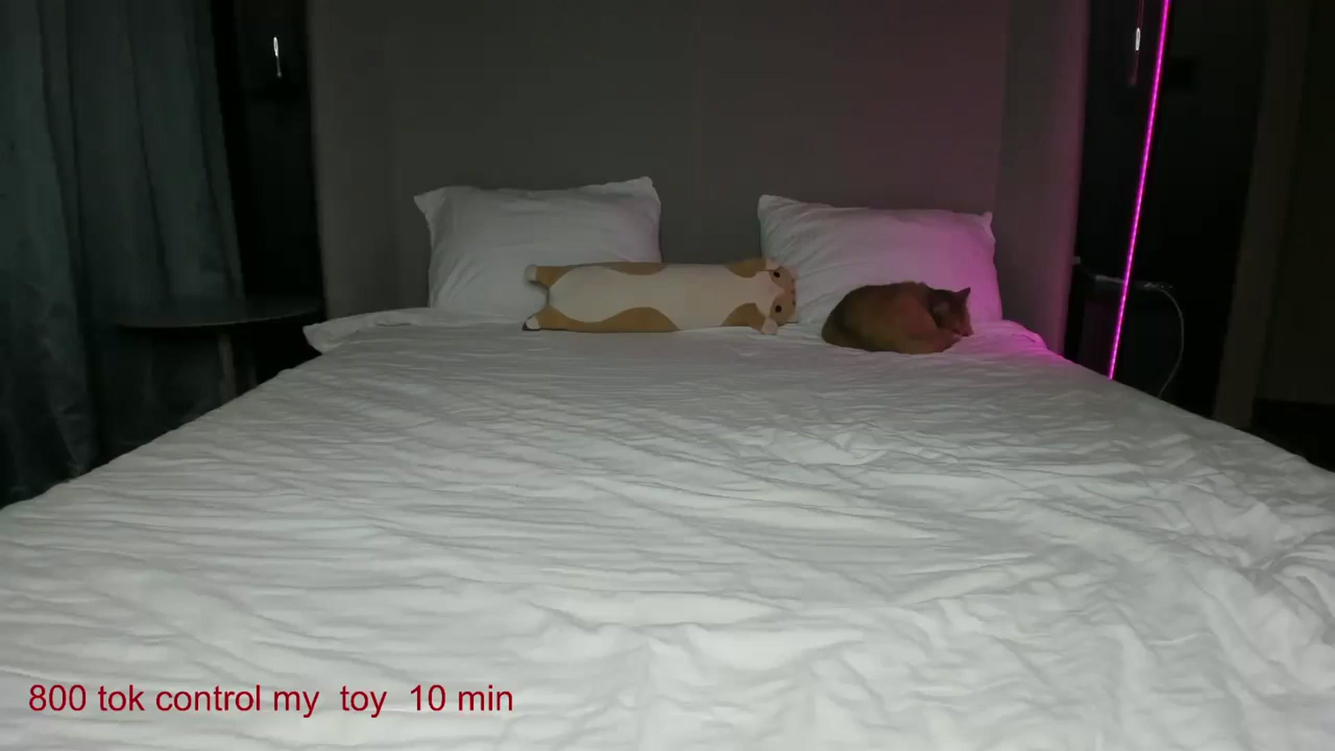 Gallery image thumbnail from CarolinaHerer's myfreecams stream on, 11/10/2024, 19:13 image 1 of 20