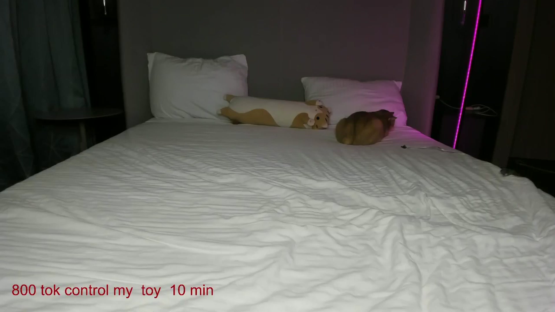 Gallery image thumbnail from CarolinaHerer's myfreecams stream on, 11/22/2024, 19:38 image 9 of 20