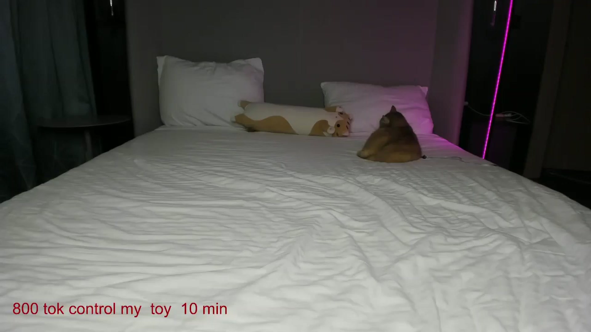 Gallery image thumbnail from CarolinaHerer's myfreecams stream on, 11/22/2024, 19:38 image 4 of 20
