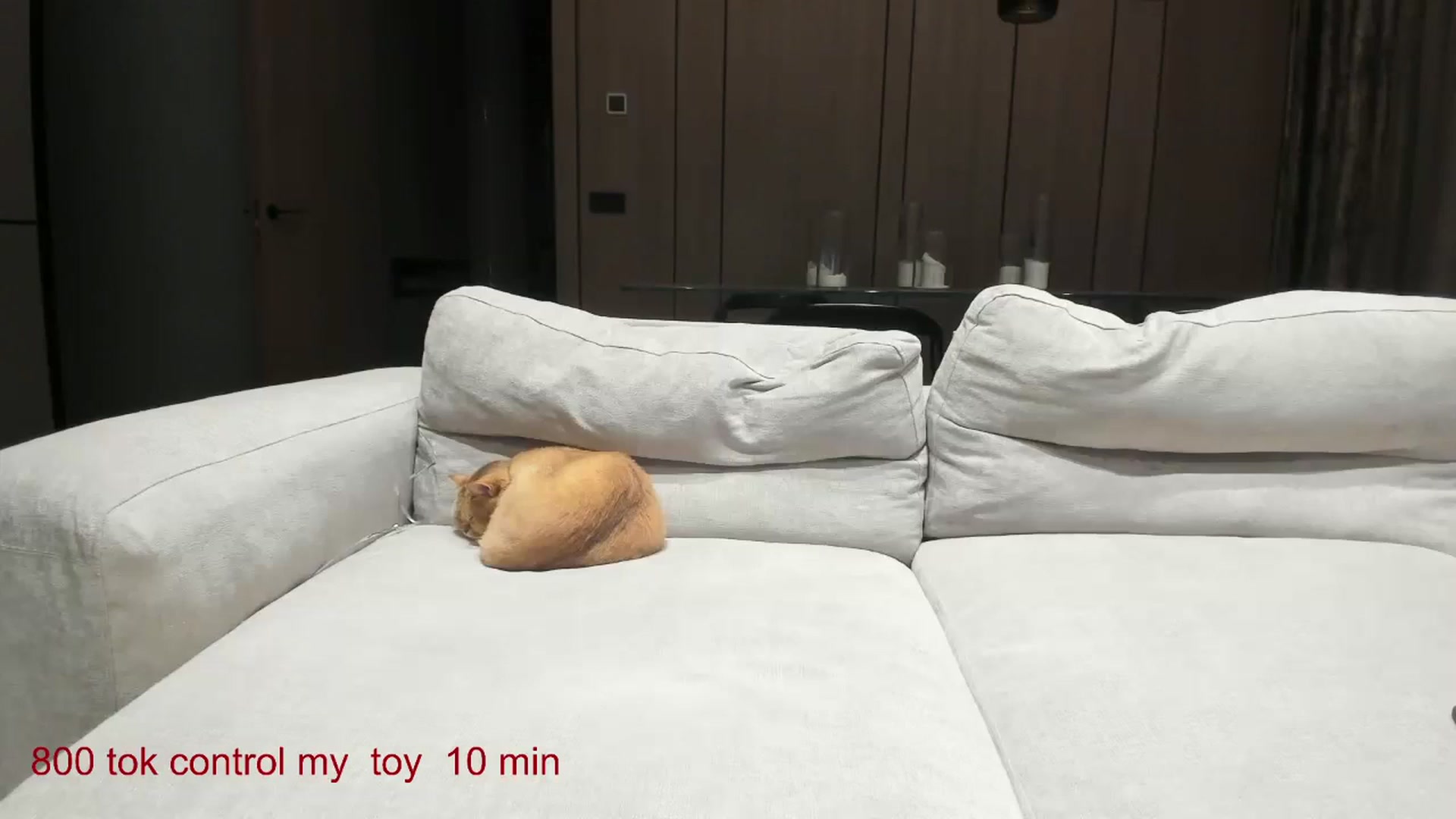 Gallery image thumbnail from CarolinaHerer's myfreecams stream on, 11/25/2024, 15:45 image 19 of 20