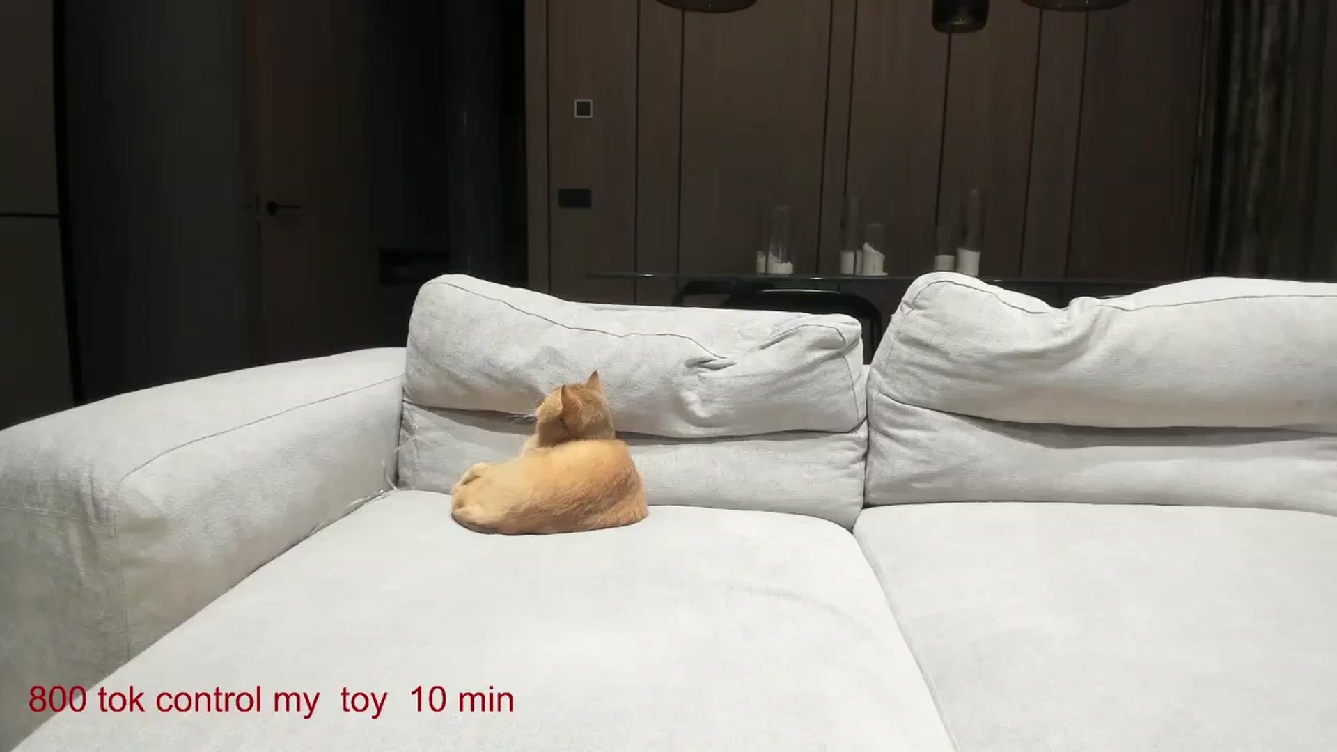 Gallery image thumbnail from CarolinaHerer's myfreecams stream on, 11/25/2024, 17:39 image 12 of 20