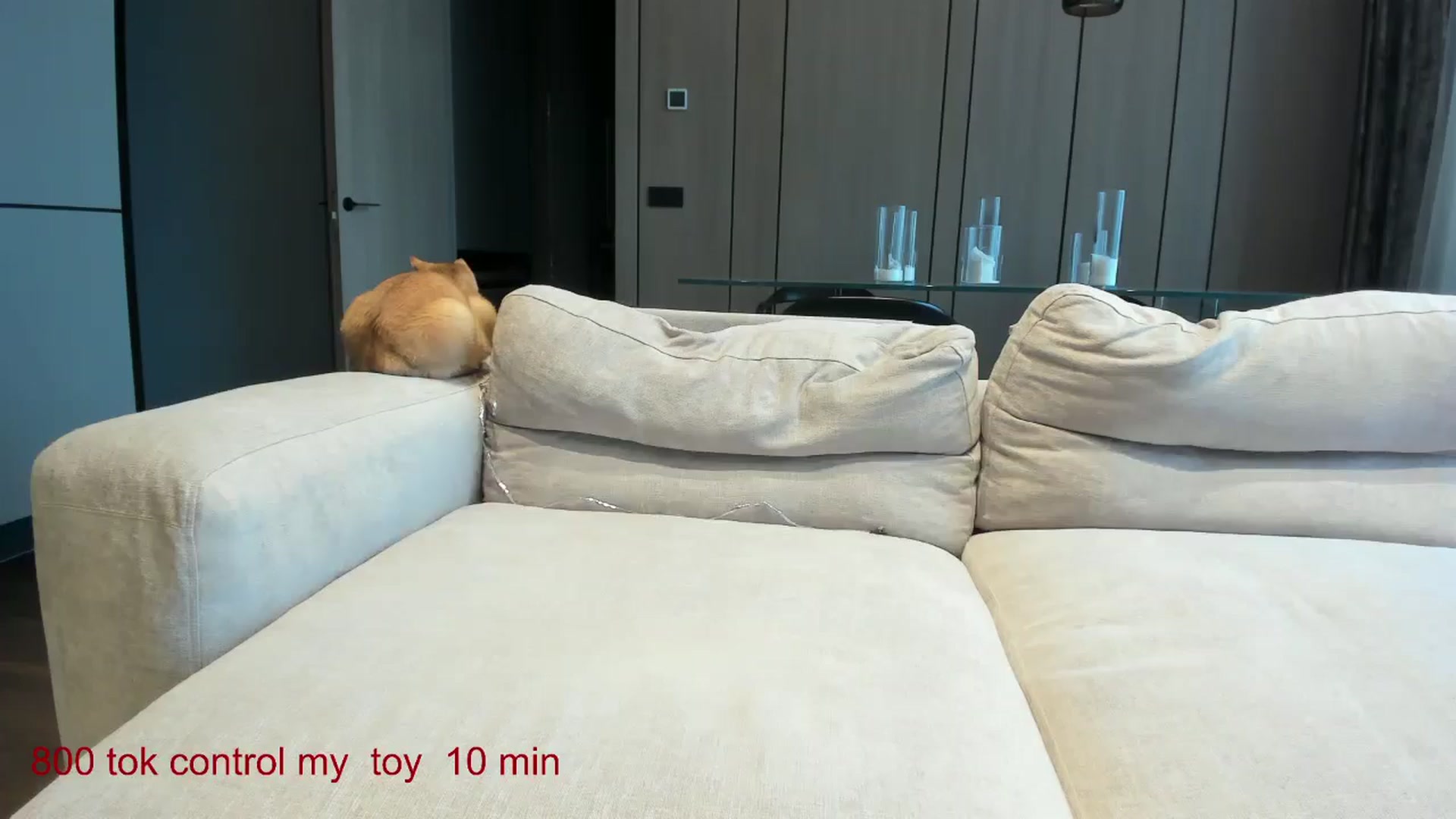 Gallery image thumbnail from CarolinaHerer's myfreecams stream on, 12/02/2024, 10:57 image 18 of 20