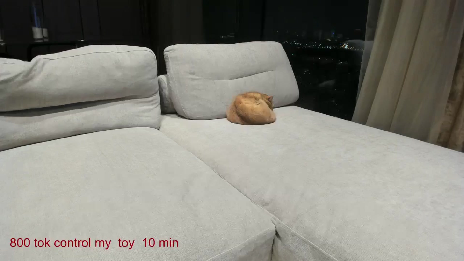 Gallery image thumbnail from CarolinaHerer's myfreecams stream on, 12/15/2024, 17:58 image 4 of 20