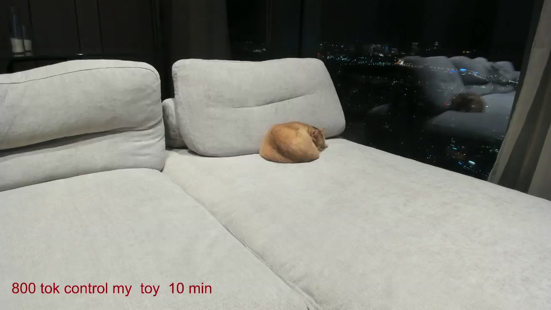 Gallery image thumbnail from CarolinaHerer's myfreecams stream on, 12/17/2024, 14:22 image 16 of 20