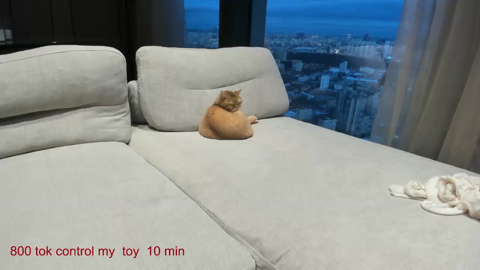 Gallery image thumbnail from CarolinaHerer's myfreecams stream on, 12/21/2024, 15:08 image 1 of 20