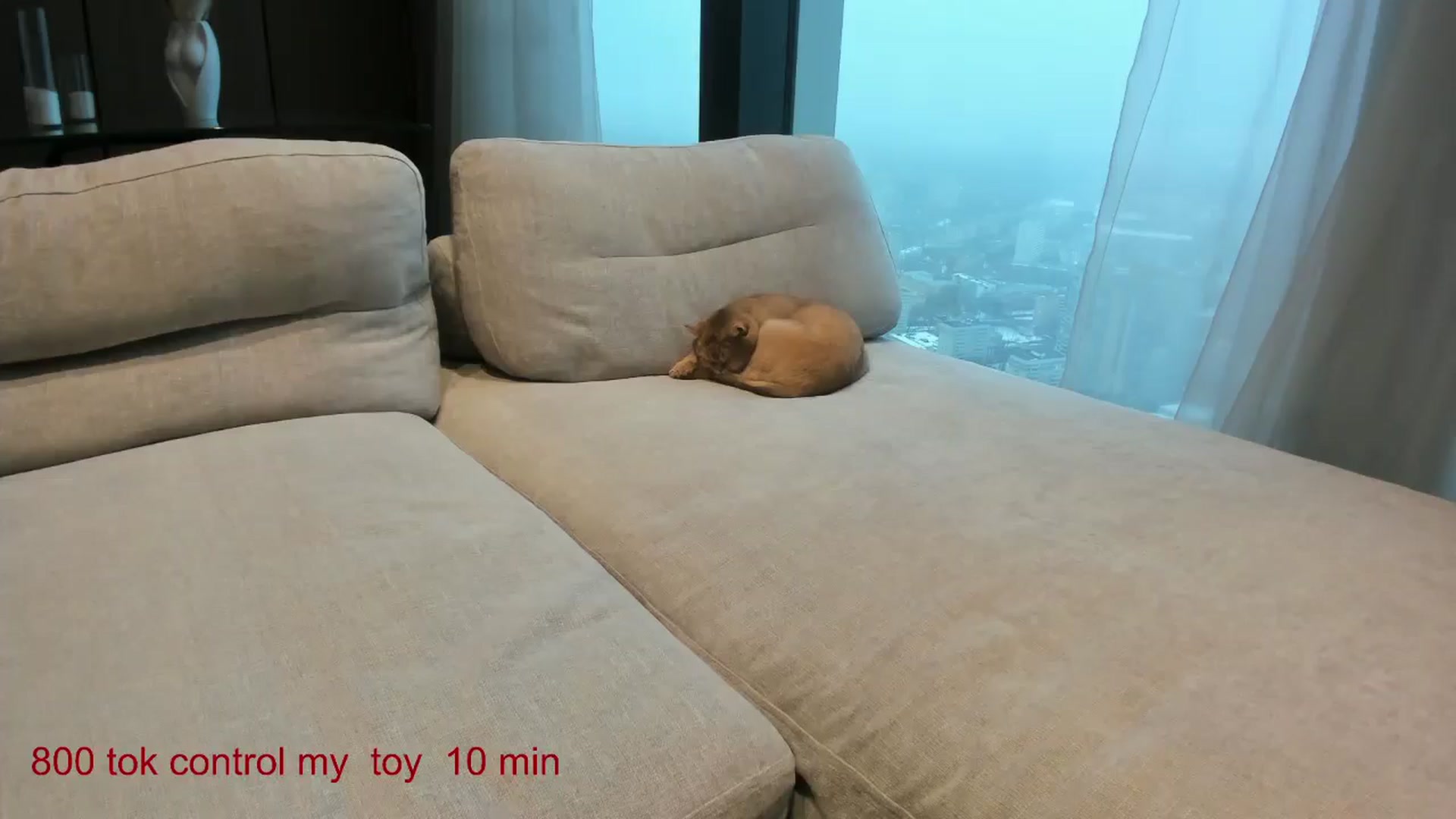 Gallery image thumbnail from CarolinaHerer's myfreecams stream on, 12/26/2024, 11:47 image 17 of 20