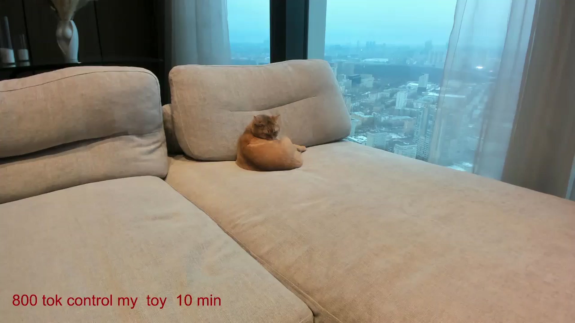 Gallery image thumbnail from CarolinaHerer's myfreecams stream on, 12/29/2024, 12:59 image 13 of 20