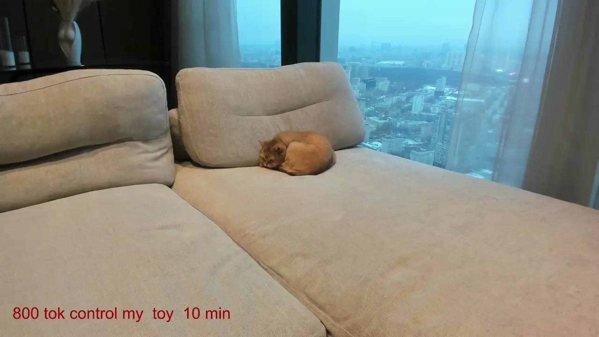 Gallery image thumbnail from CarolinaHerer's myfreecams stream on, 12/29/2024, 12:59 image 15 of 20