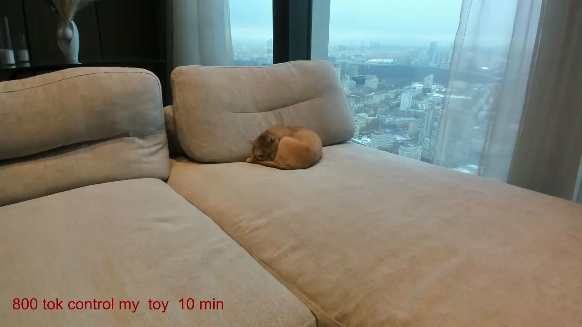 Gallery image thumbnail from CarolinaHerer's myfreecams stream on, 12/29/2024, 12:59 image 9 of 20