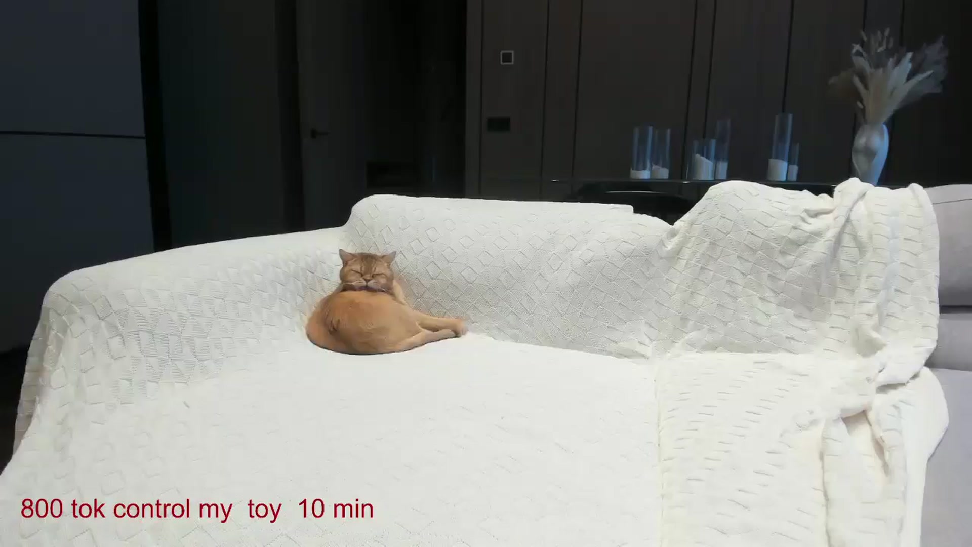 Gallery image thumbnail from CarolinaHerer's myfreecams stream on, 01/11/2025, 11:08 image 13 of 20