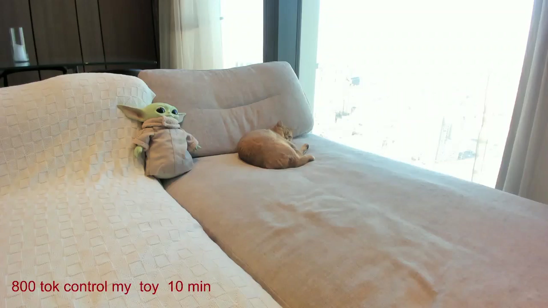 Gallery image thumbnail from CarolinaHerer's myfreecams stream on, 03/18/2025, 11:05 image 6 of 20