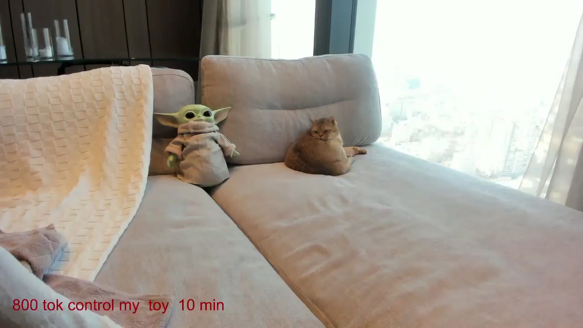 Gallery image thumbnail from CarolinaHerer's myfreecams stream on, 03/24/2025, 07:30 image 13 of 20