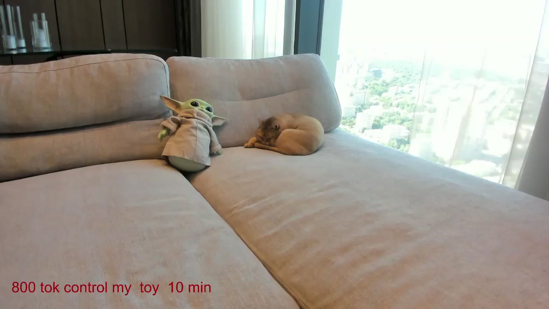 Gallery image thumbnail from CarolinaHerer's myfreecams stream on, 05/26/2025, 08:00 image 7 of 20
