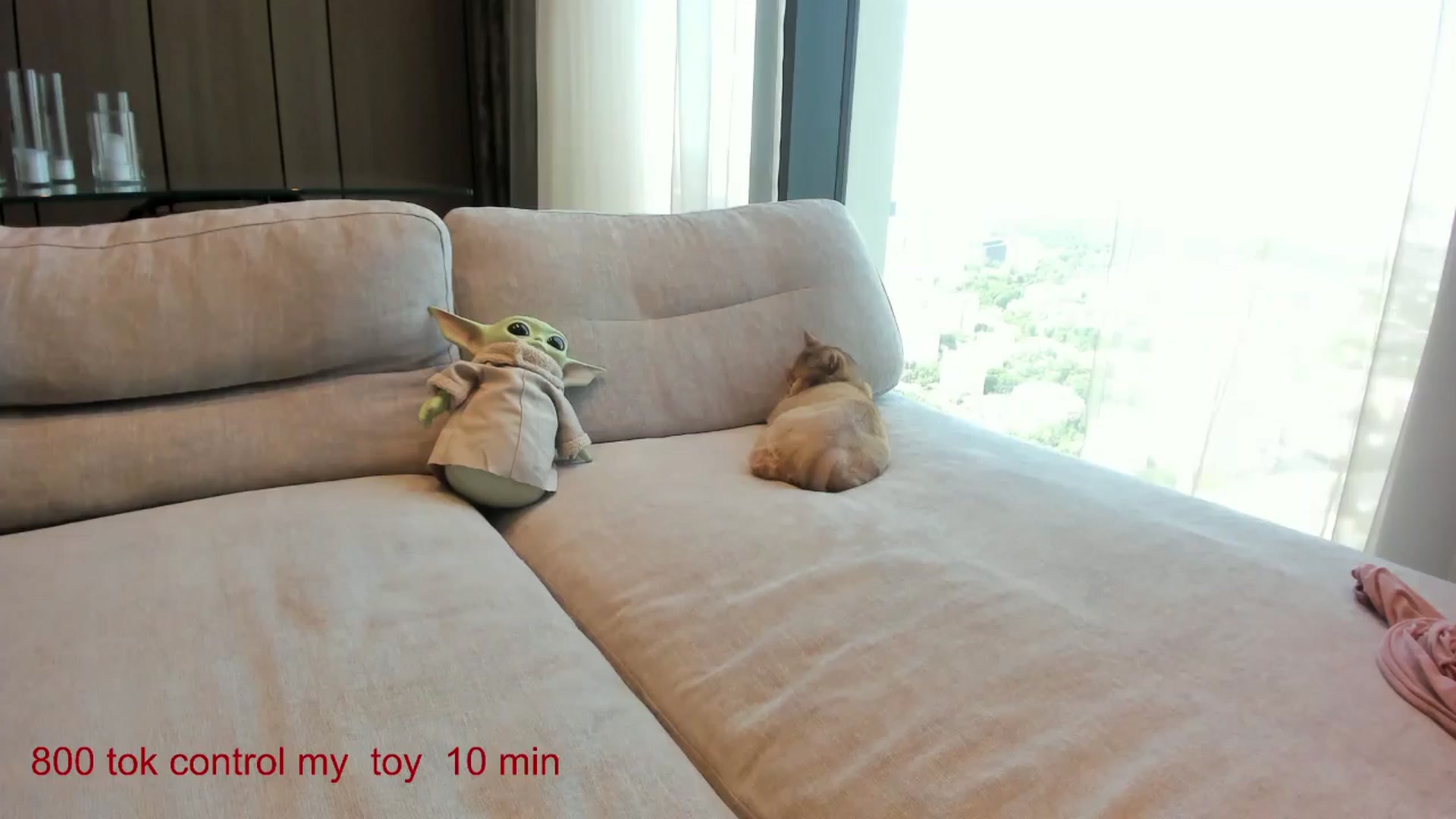 Gallery image thumbnail from CarolinaHerer's myfreecams stream on, 05/26/2025, 08:39 image 1 of 20