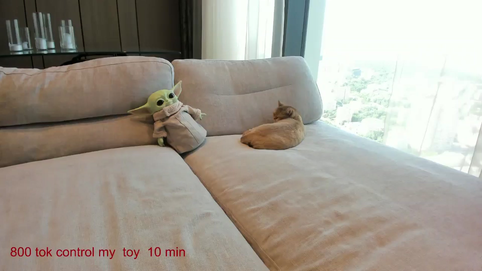Gallery image thumbnail from CarolinaHerer's myfreecams stream on, 05/29/2025, 07:23 image 5 of 20