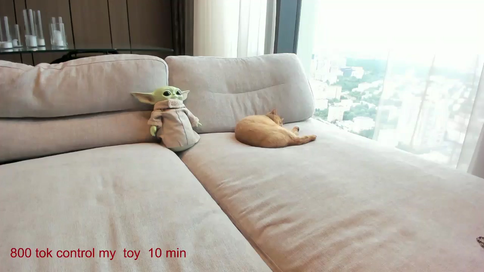Gallery image thumbnail from CarolinaHerer's myfreecams stream on, 05/31/2025, 07:58 image 8 of 20