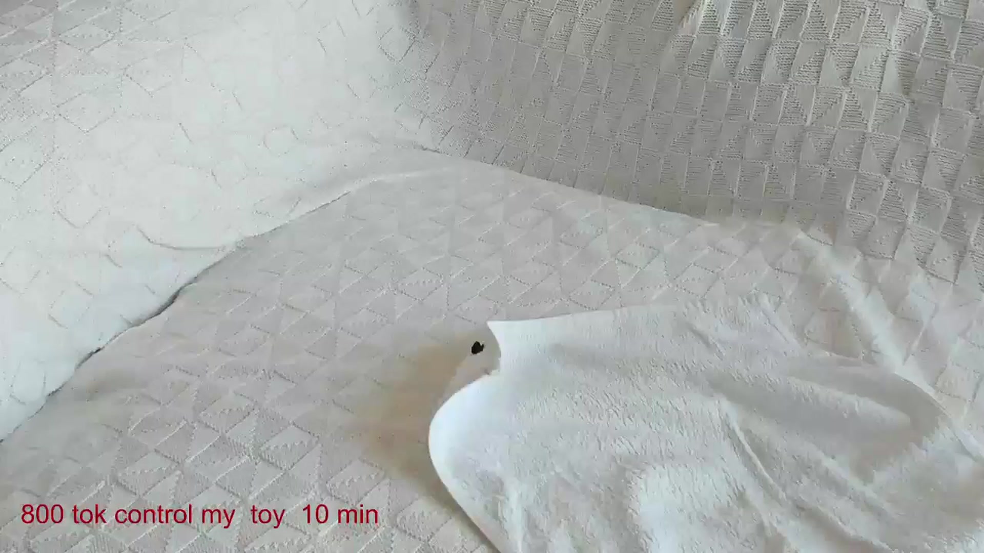 Gallery image thumbnail from CarolinaHerer's myfreecams stream on, 06/16/2025, 11:46 image 10 of 20