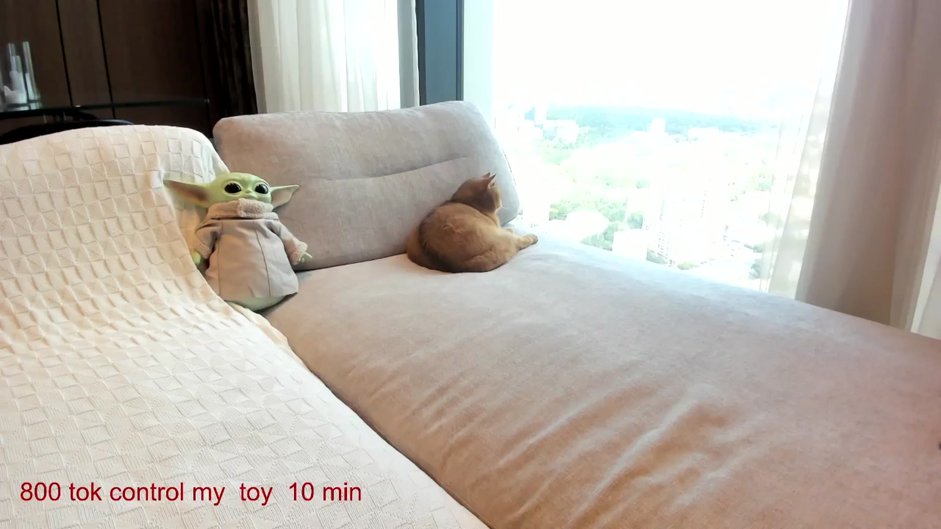 Gallery image thumbnail from CarolinaHerer's myfreecams stream on, 08/13/2025, 11:56 image 10 of 20