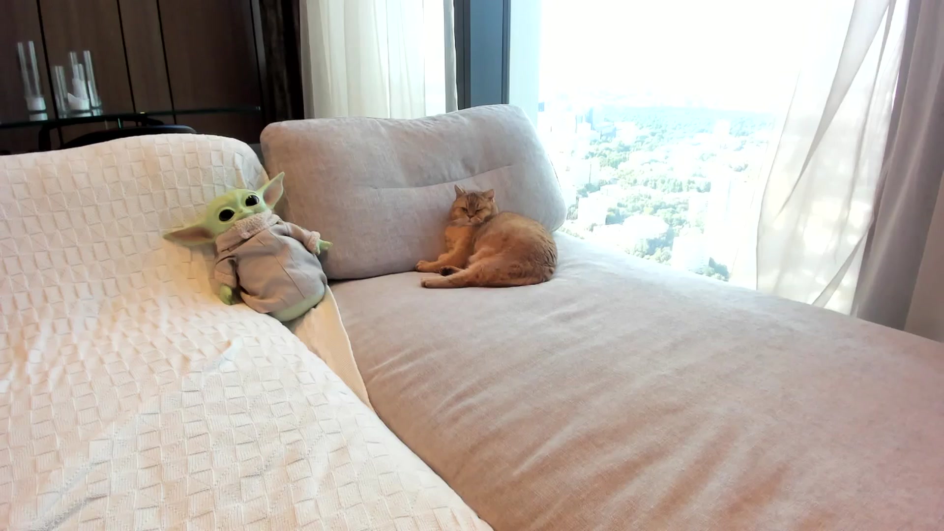 Gallery image thumbnail from CarolinaHerer's myfreecams stream on, 08/16/2025, 07:19 image 5 of 20
