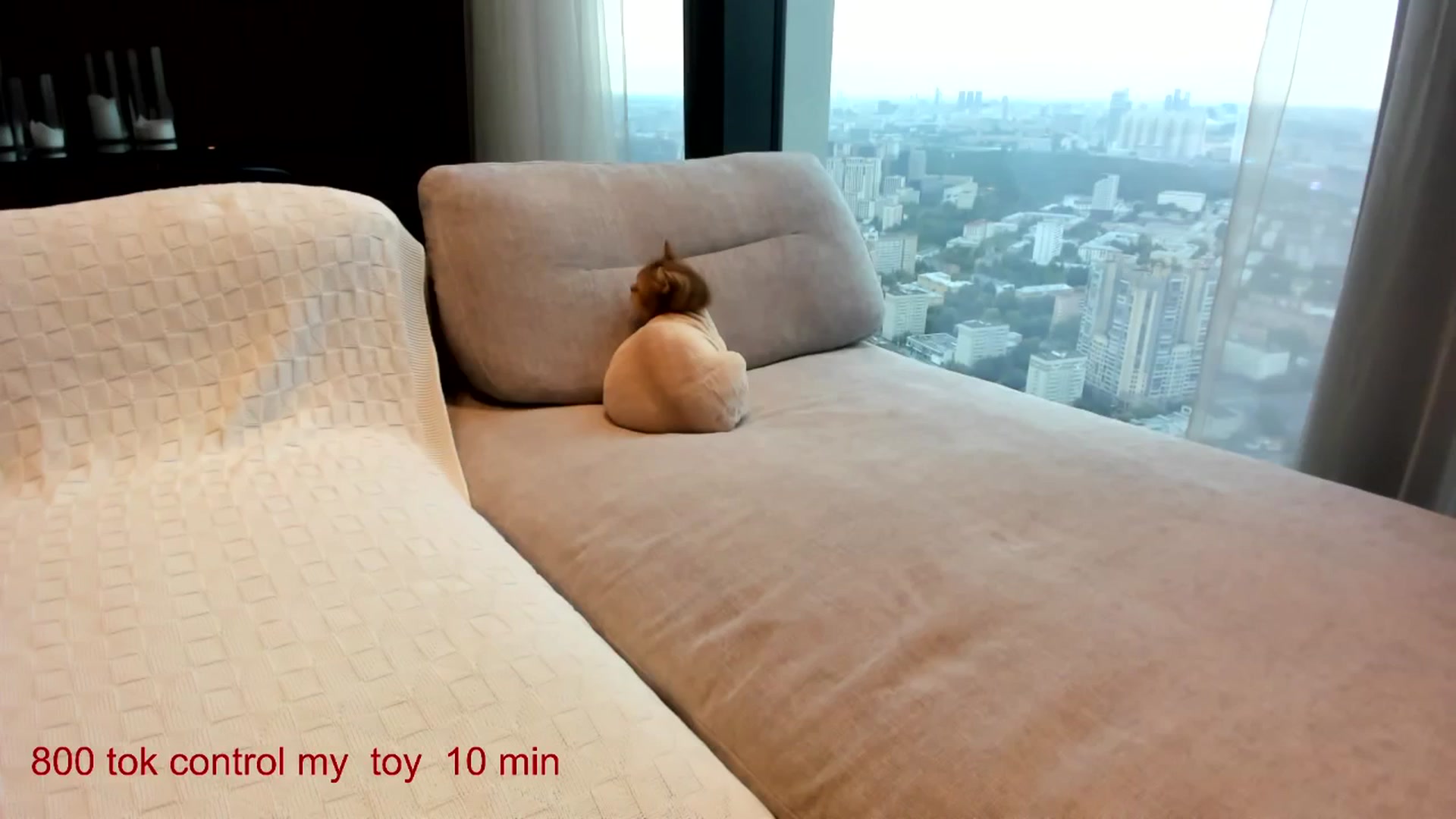 Gallery image thumbnail from CarolinaHerer's myfreecams stream on, 08/29/2025, 09:08 image 3 of 20