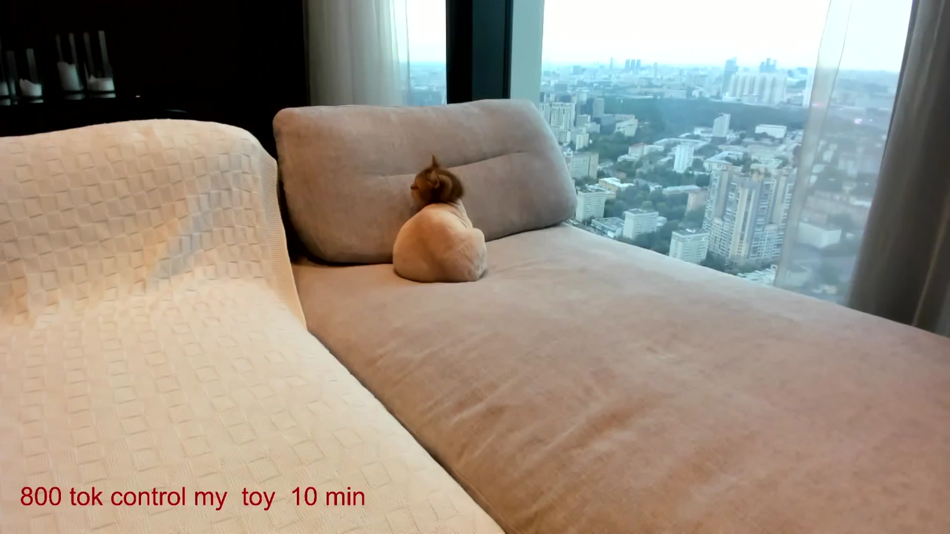 Gallery image thumbnail from CarolinaHerer's myfreecams stream on, 08/29/2025, 09:08 image 1 of 20