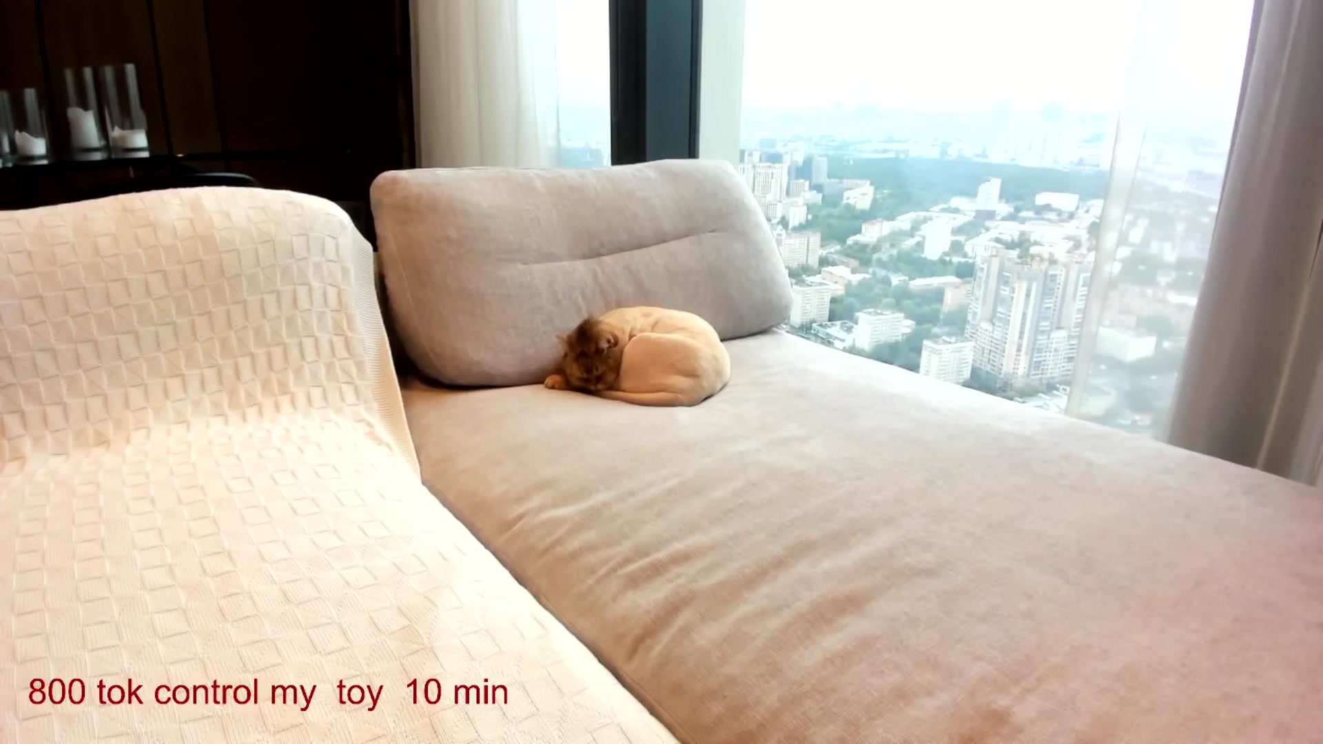 Gallery image thumbnail from CarolinaHerer's myfreecams stream on, 08/29/2025, 11:43 image 4 of 20