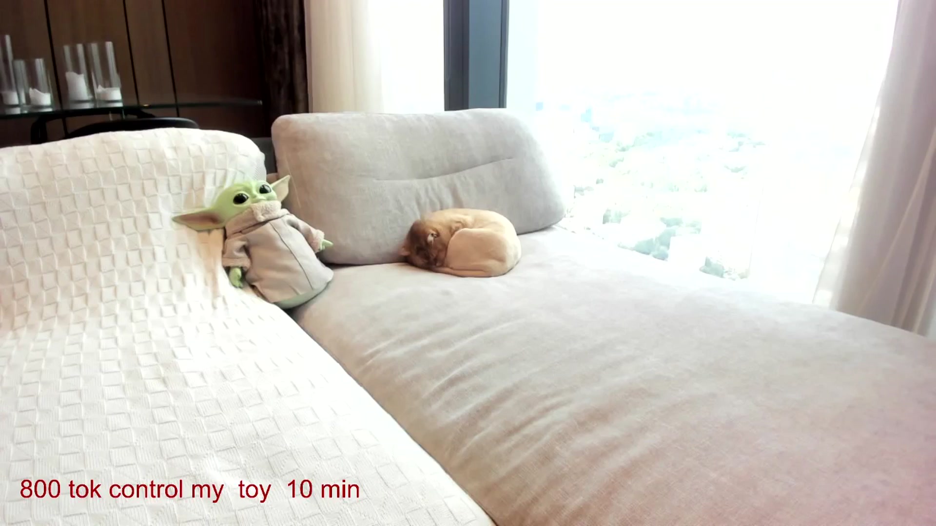 Gallery image thumbnail from CarolinaHerer's myfreecams stream on, 09/01/2025, 09:12 image 17 of 20