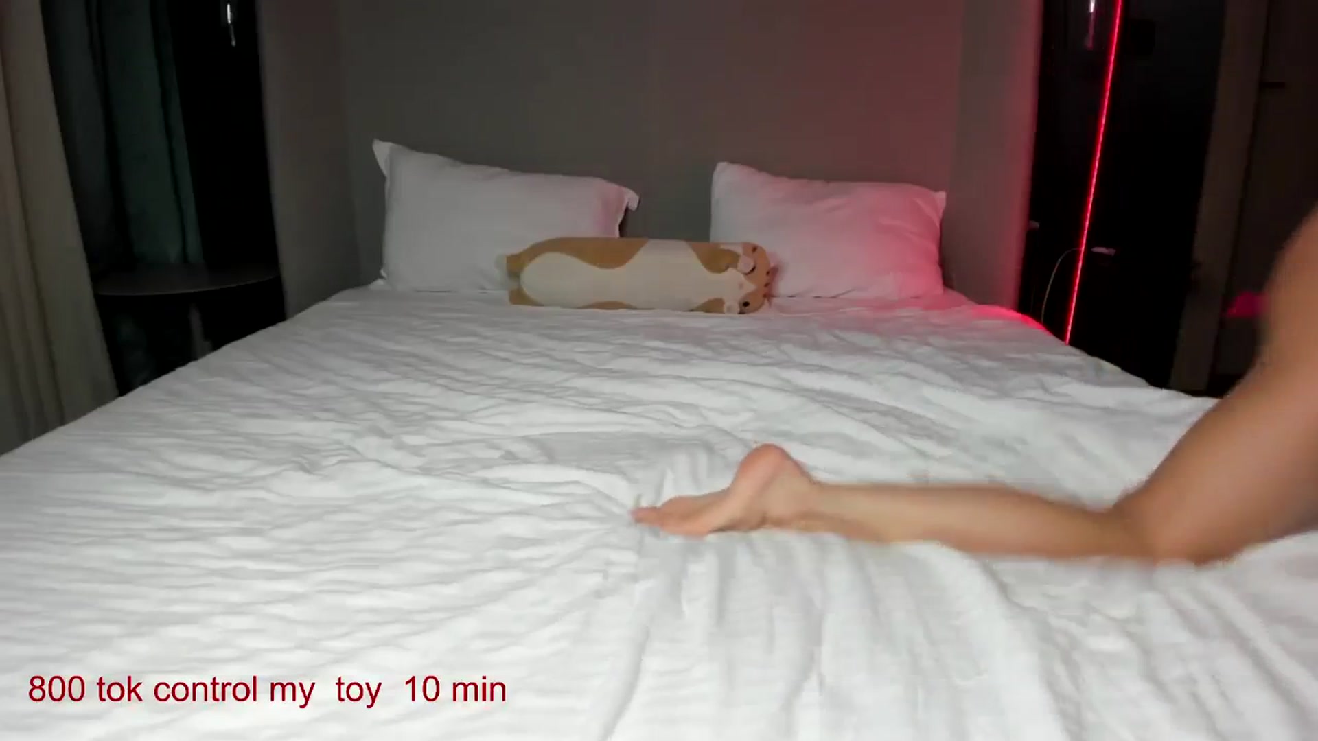 Gallery image thumbnail from CarolinaHerer's myfreecams stream on, 09/08/2025, 10:15 image 13 of 20