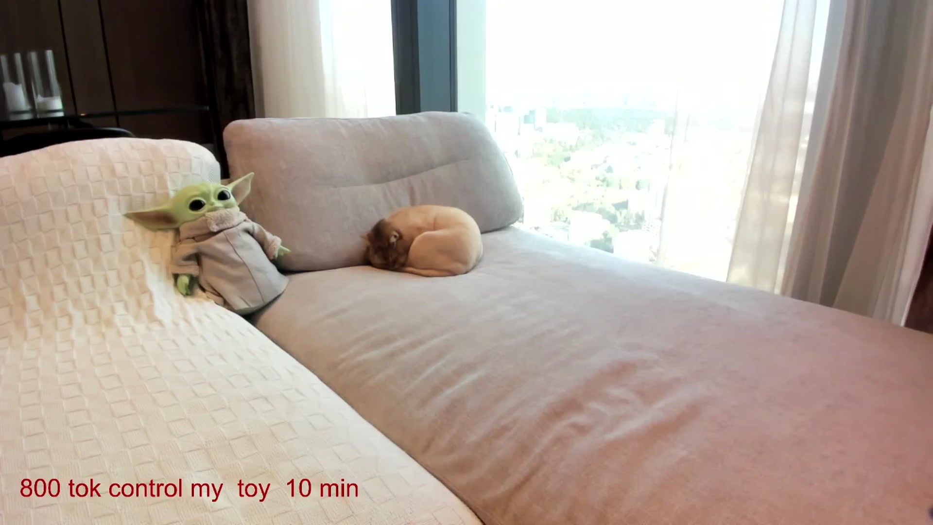 Gallery image thumbnail from CarolinaHerer's myfreecams stream on, 09/13/2025, 15:03 image 2 of 20
