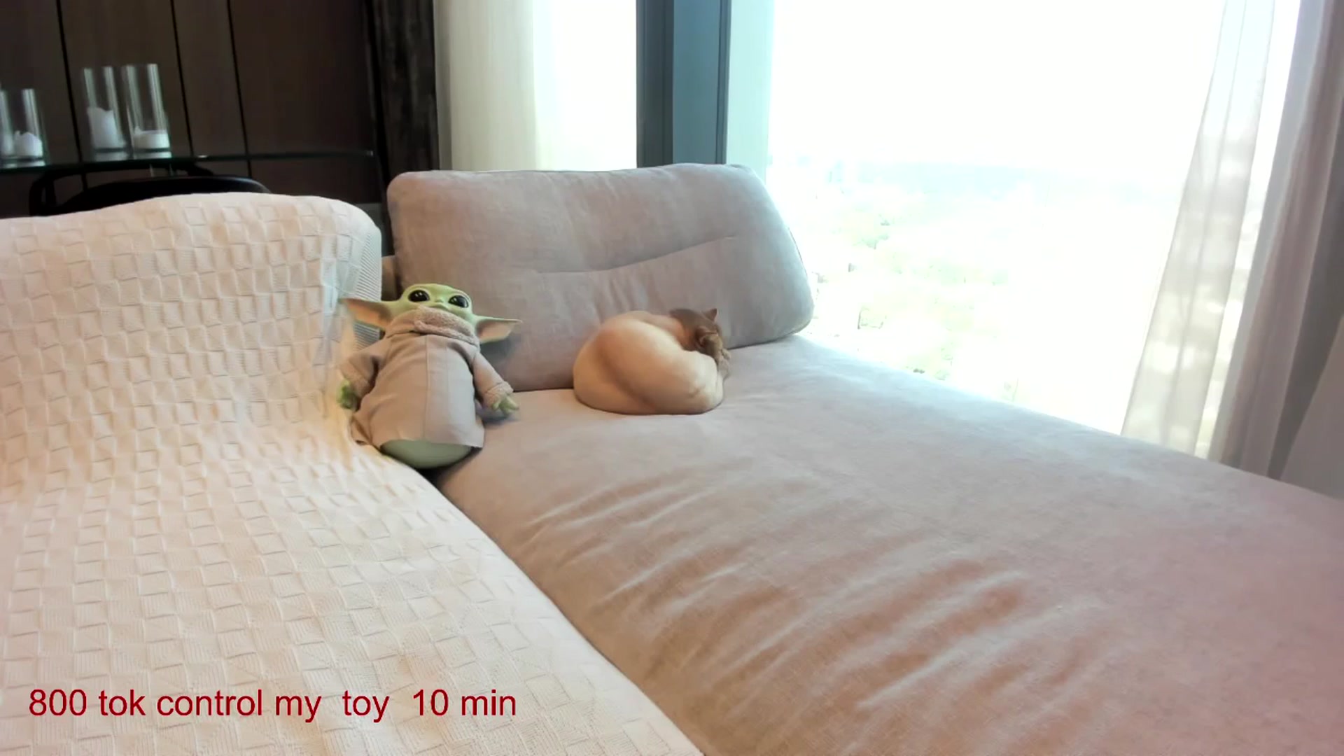 Gallery image thumbnail from CarolinaHerer's myfreecams stream on, 09/14/2025, 10:59 image 18 of 20
