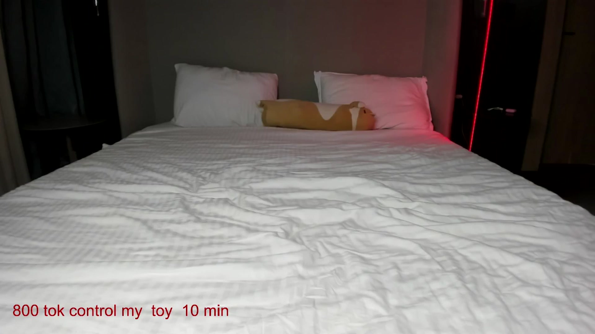 Gallery image thumbnail from CarolinaHerer's myfreecams stream on, 10/09/2025, 09:12 image 14 of 20