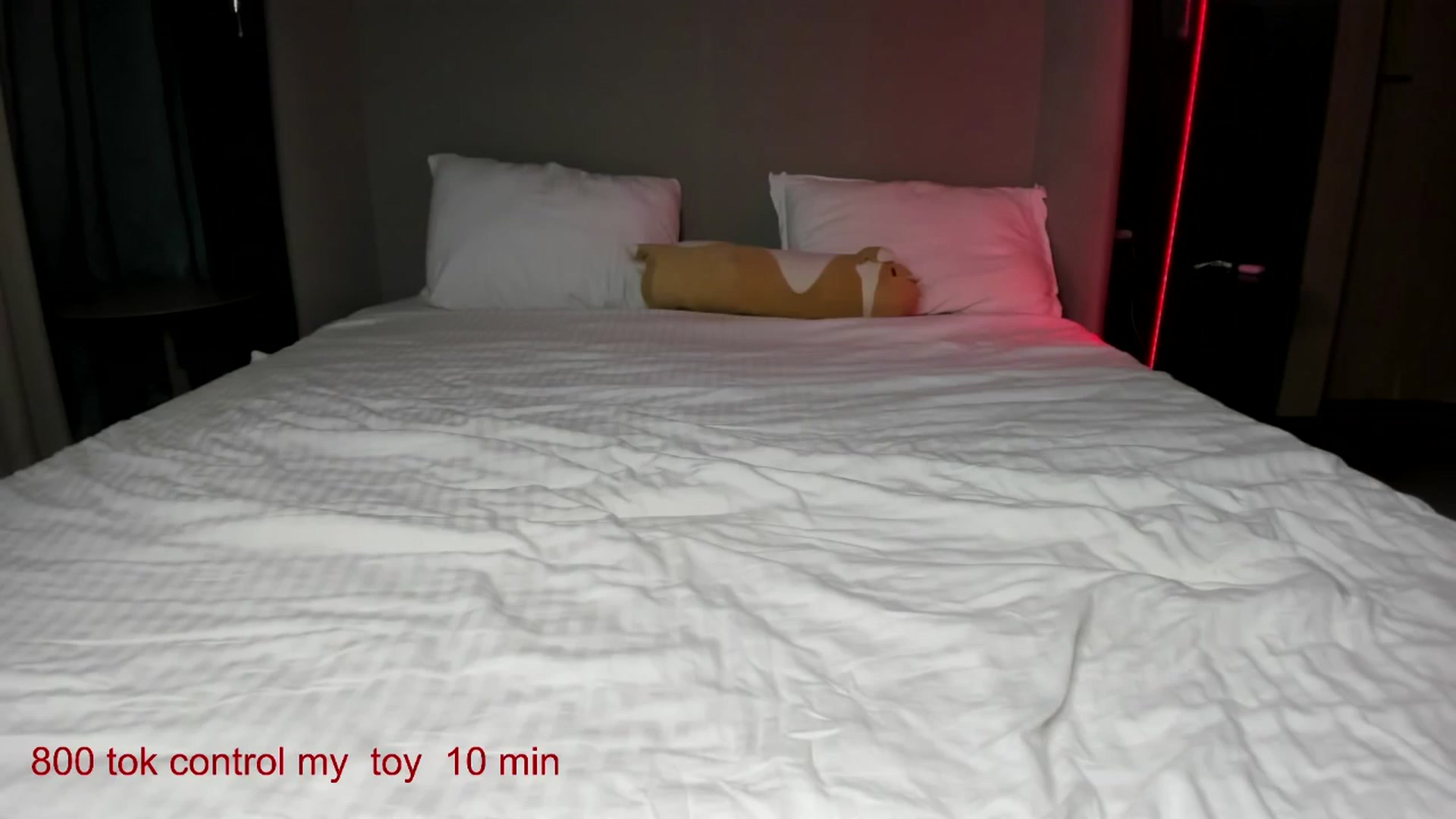 Gallery image thumbnail from CarolinaHerer's myfreecams stream on, 10/09/2025, 11:30 image 13 of 20