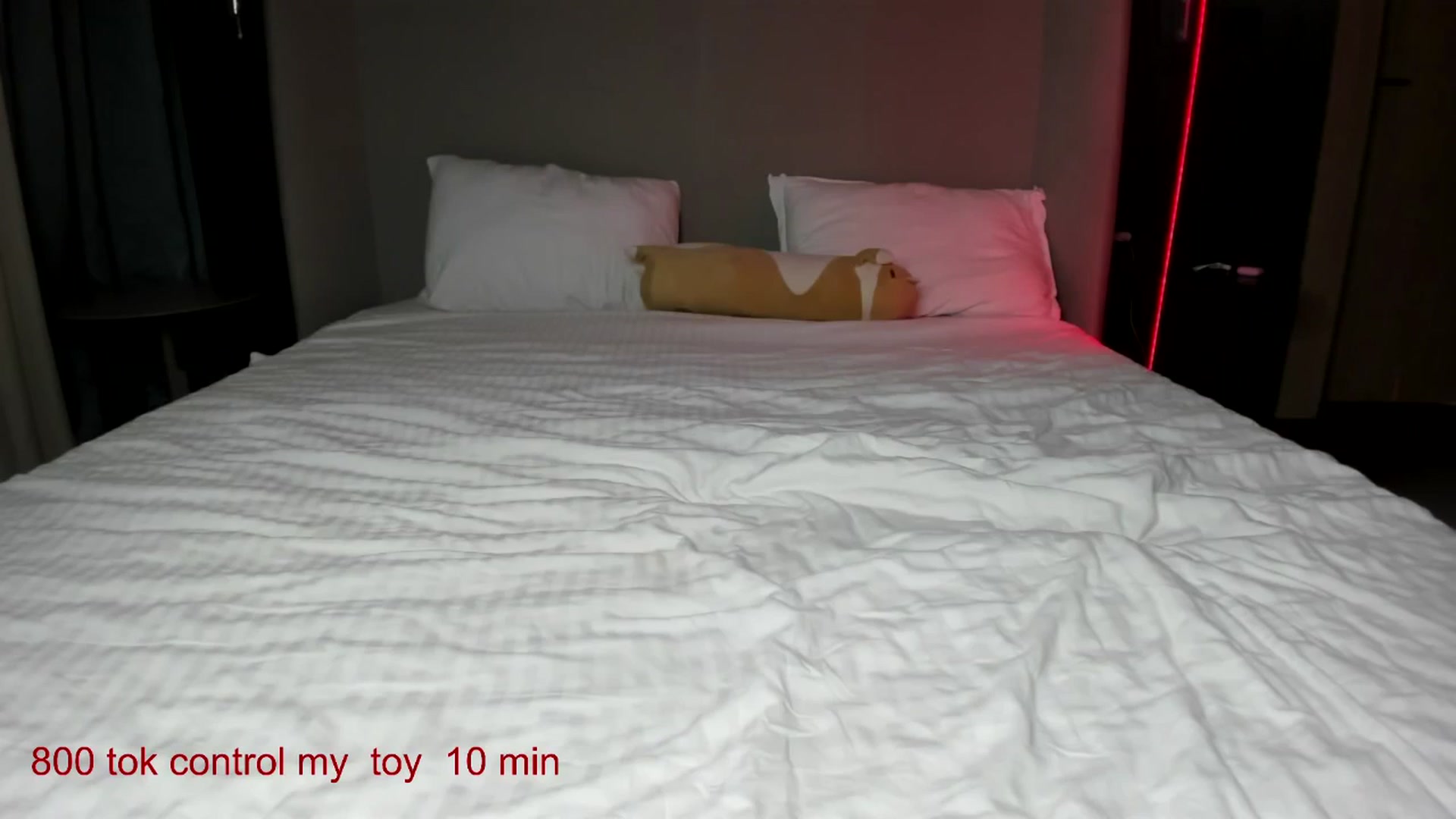 Gallery image thumbnail from CarolinaHerer's myfreecams stream on, 10/09/2025, 11:30 image 1 of 20
