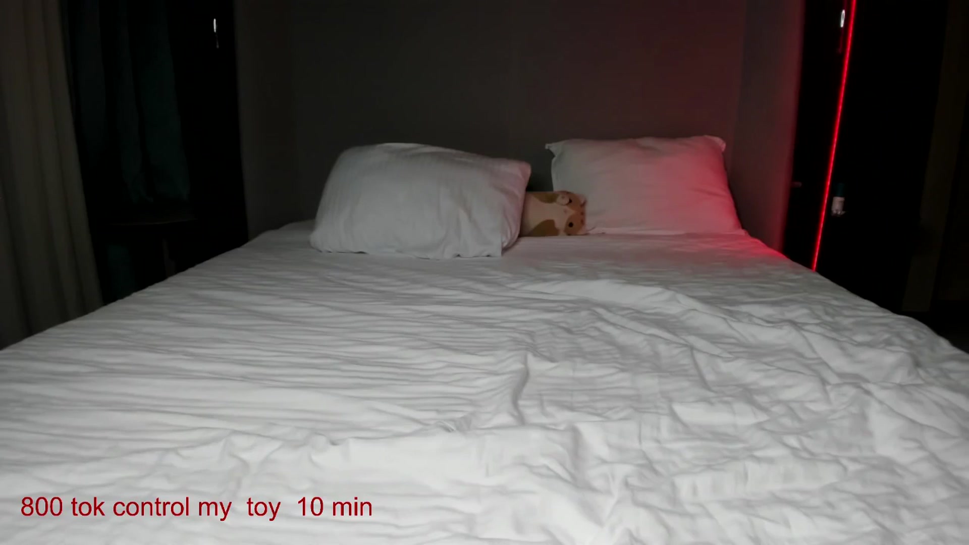 Gallery image thumbnail from CarolinaHerer's myfreecams stream on, 10/13/2025, 12:59 image 8 of 20