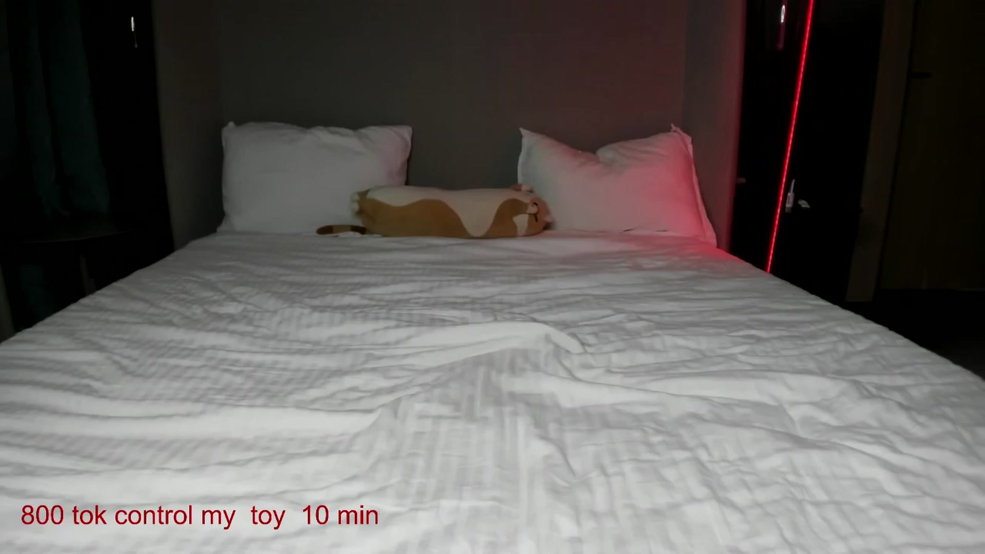 Gallery image thumbnail from CarolinaHerer's myfreecams stream on, 10/15/2025, 12:33 image 12 of 20