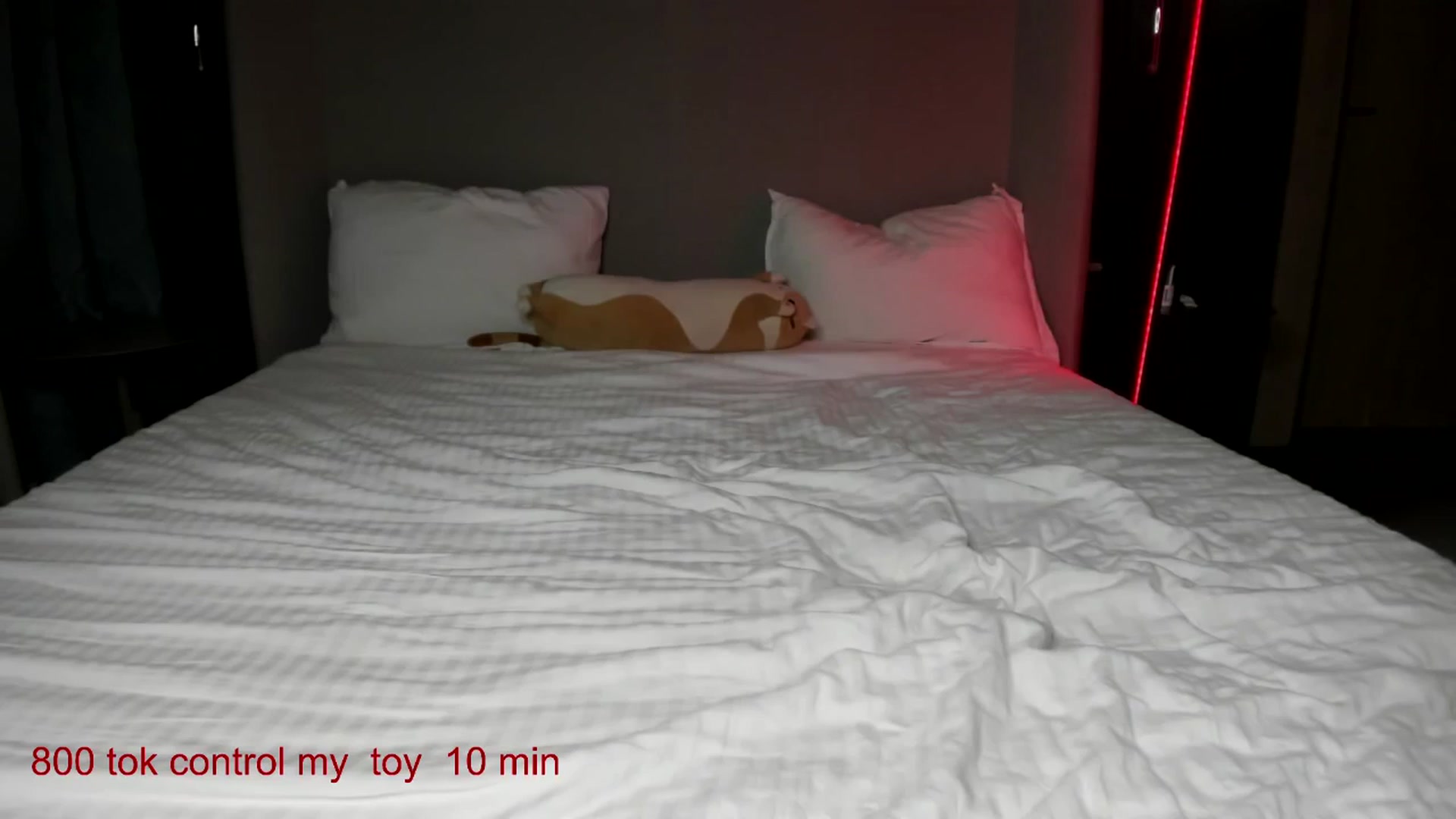 Gallery image thumbnail from CarolinaHerer's myfreecams stream on, 10/15/2025, 12:33 image 16 of 20
