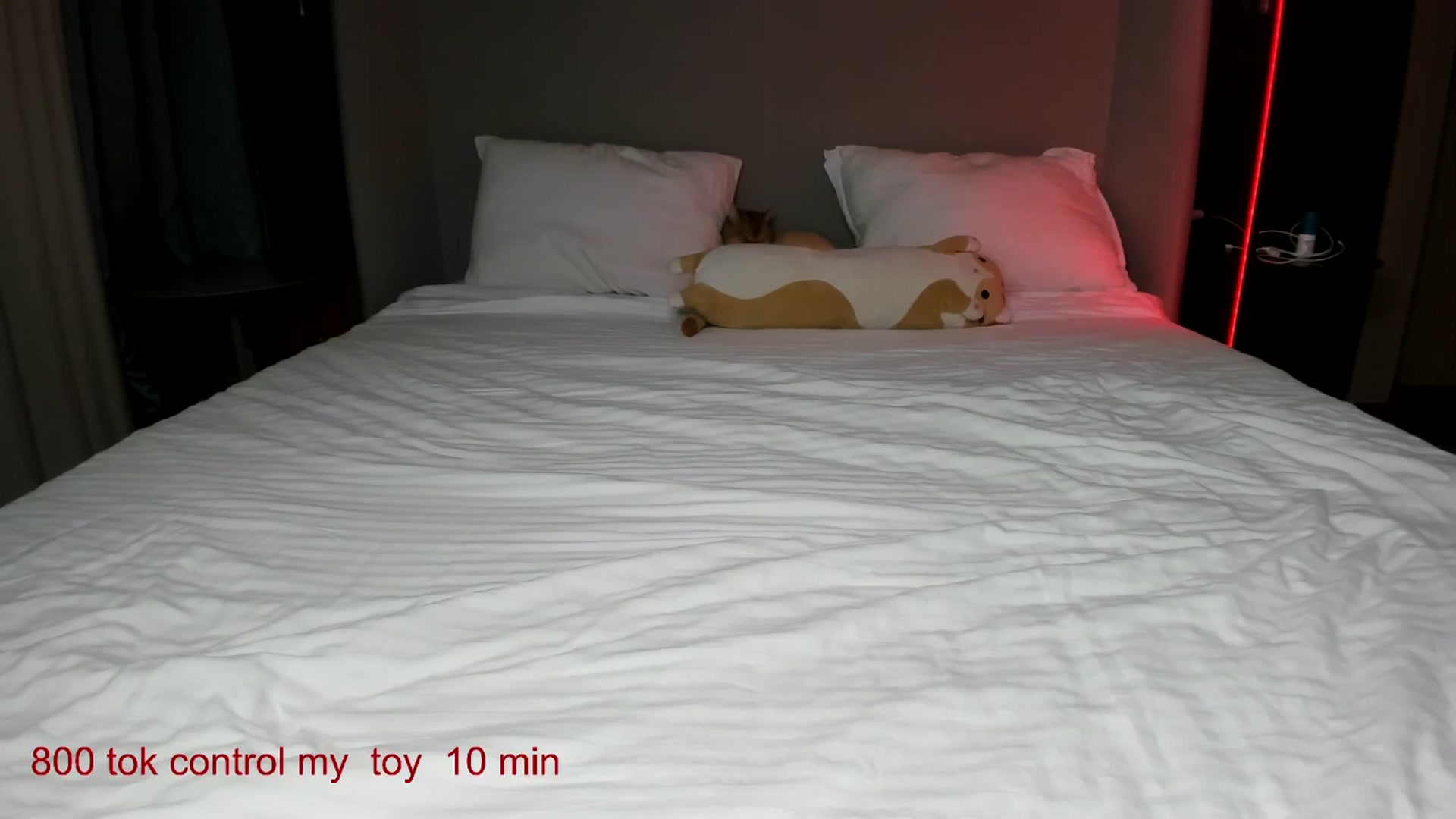 Gallery image thumbnail from CarolinaHerer's myfreecams stream on, 10/18/2025, 09:54 image 13 of 20