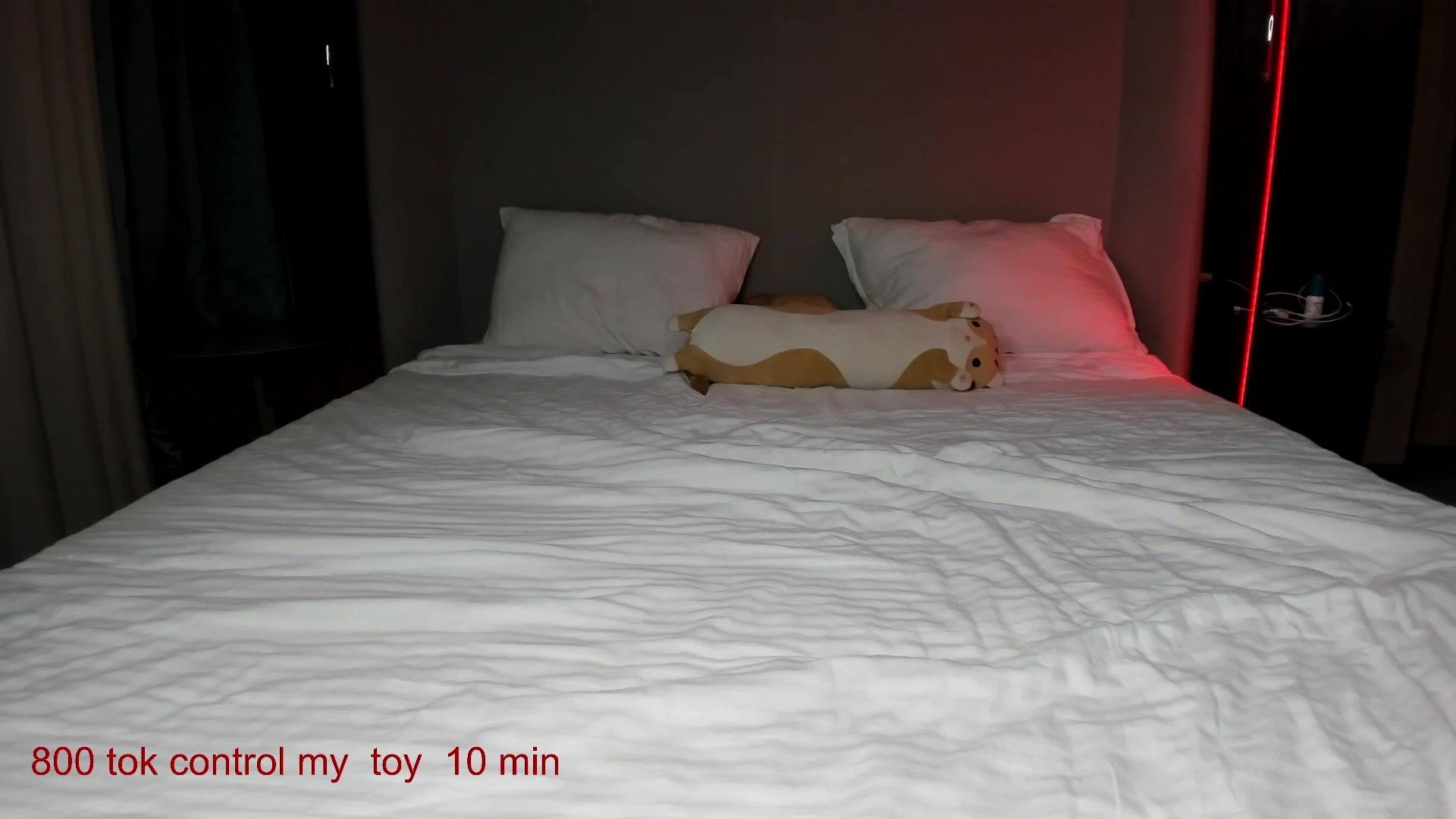 Gallery image thumbnail from CarolinaHerer's myfreecams stream on, 10/18/2025, 12:44 image 12 of 20