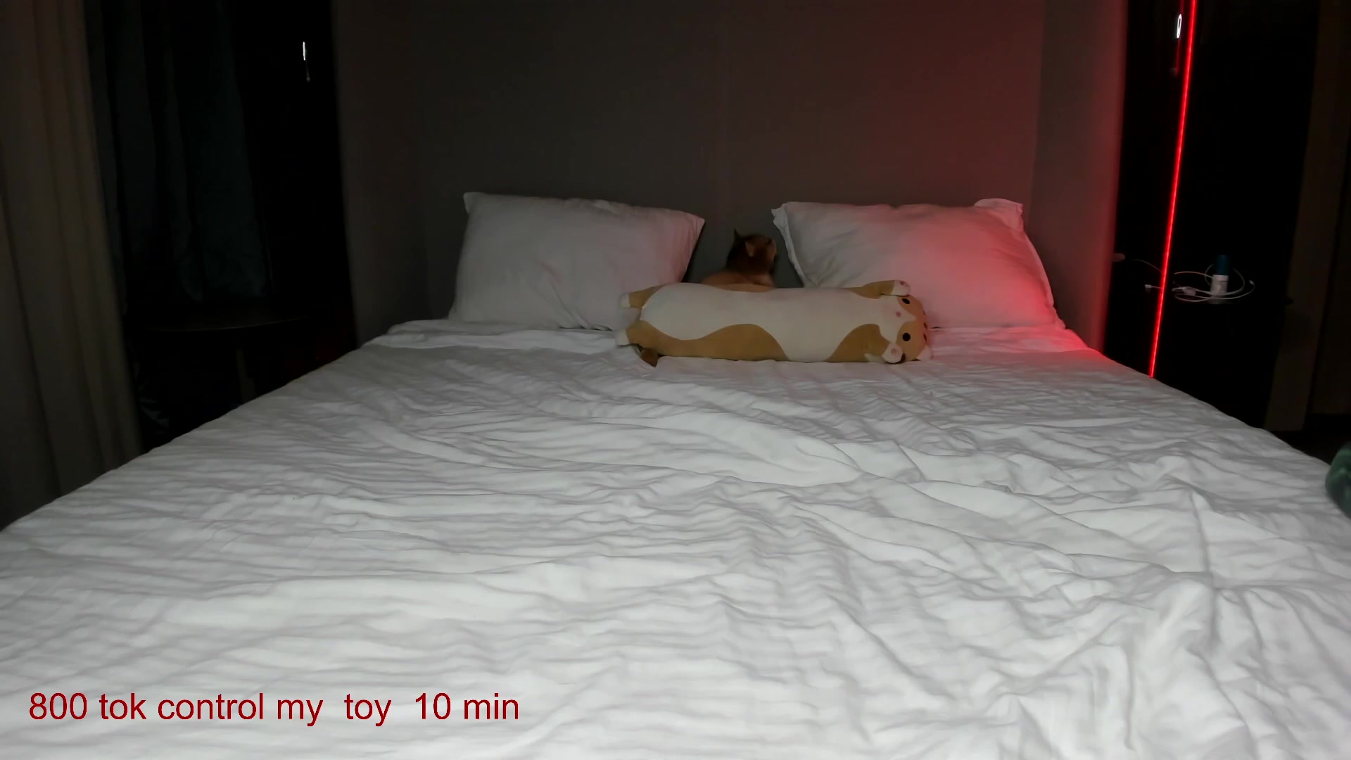 Gallery image thumbnail from CarolinaHerer's myfreecams stream on, 10/18/2025, 12:44 image 19 of 20