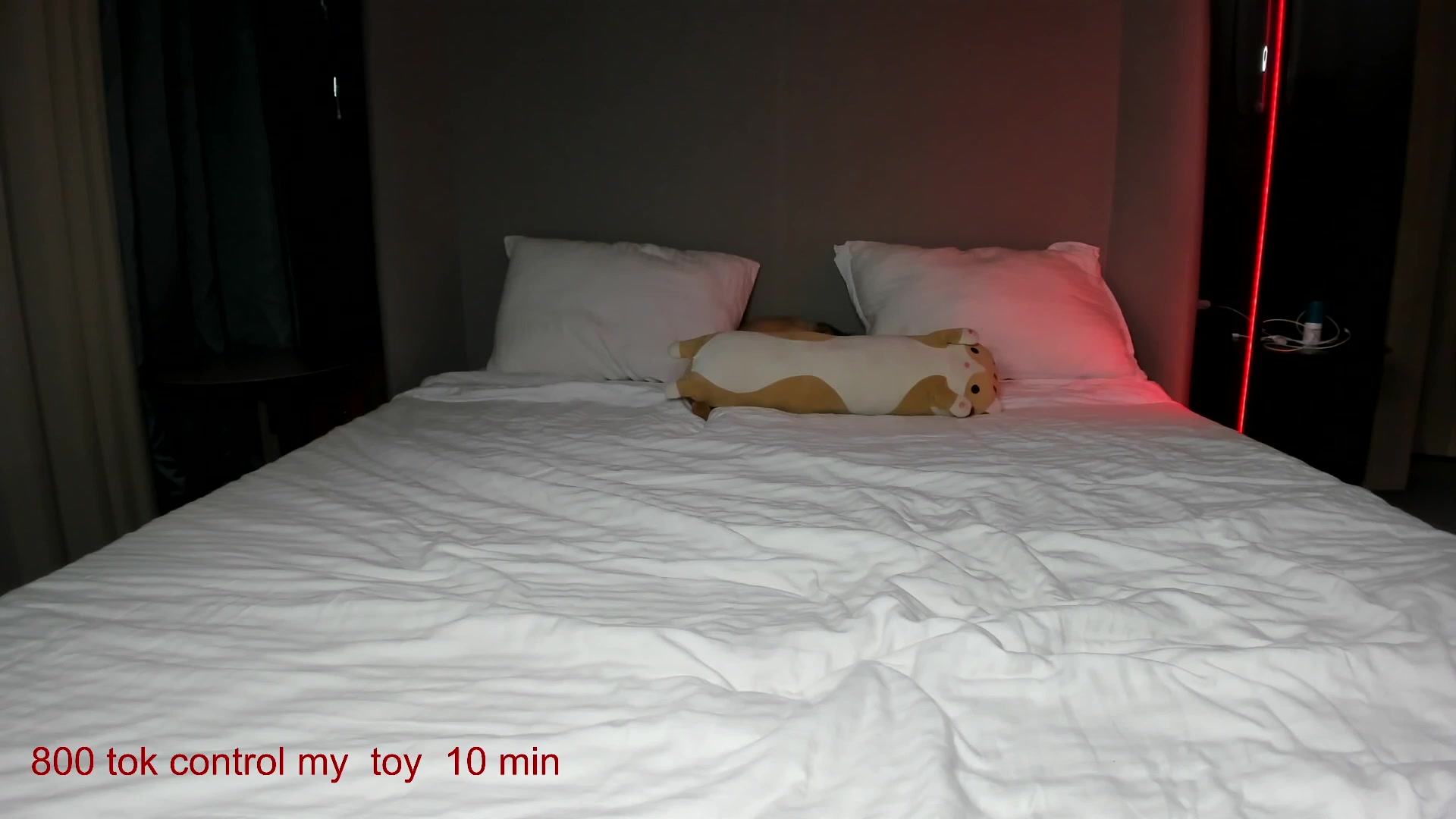 Gallery image thumbnail from CarolinaHerer's myfreecams stream on, 10/18/2025, 12:44 image 8 of 20