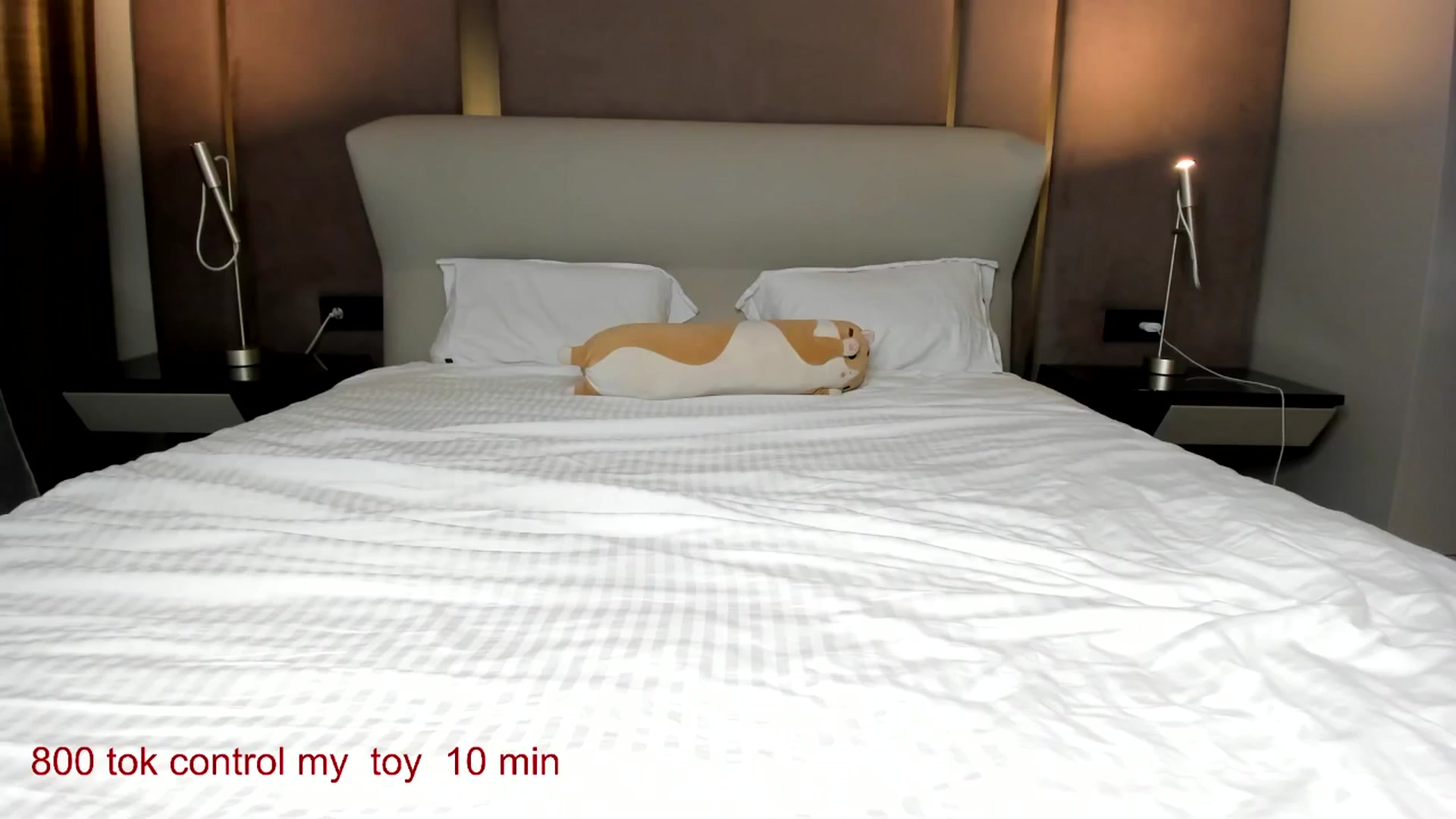 Gallery image thumbnail from CarolinaHerer's myfreecams stream on, 02/17/2026, 13:28 image 15 of 20