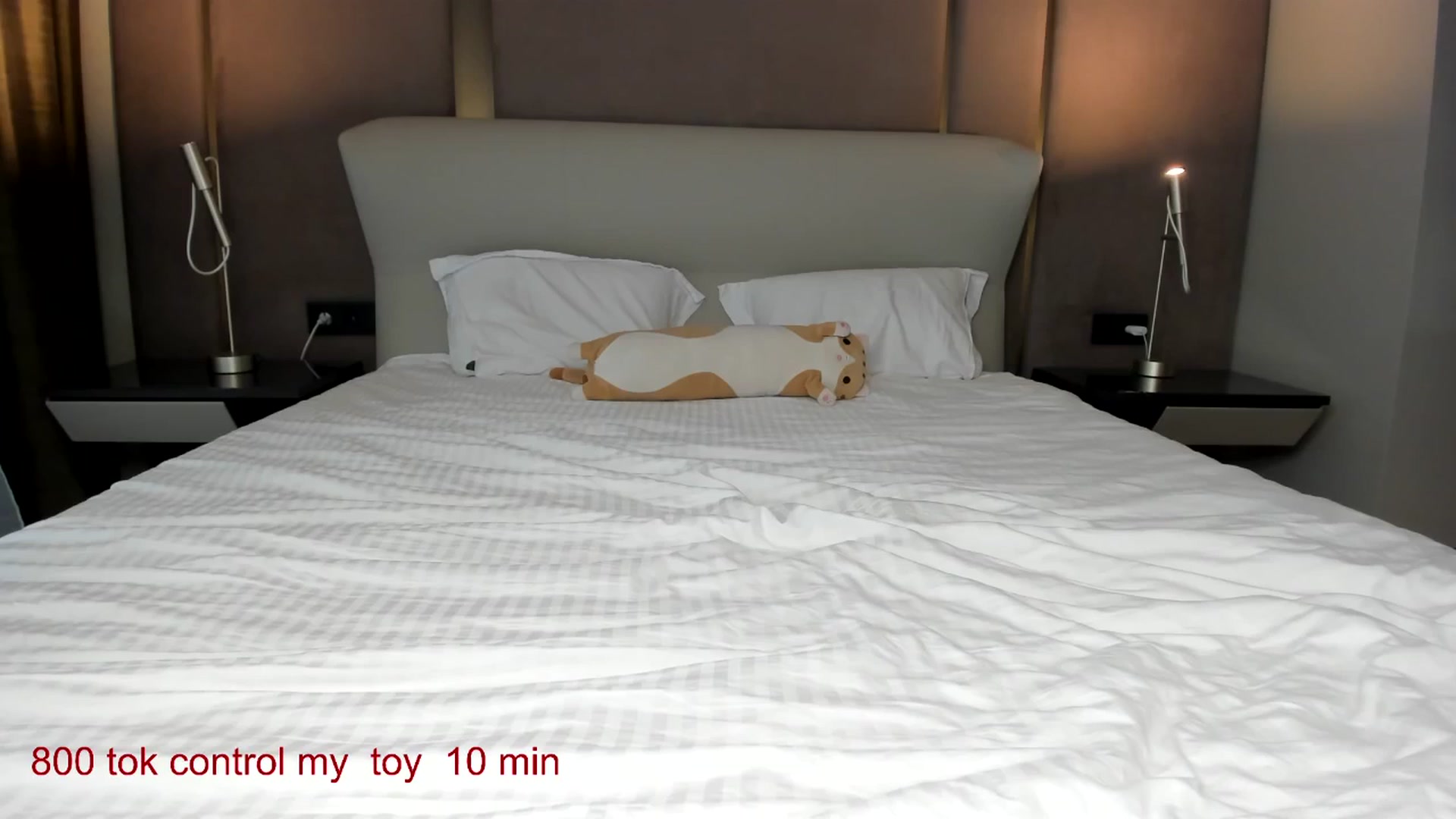 Gallery image thumbnail from CarolinaHerer's myfreecams stream on, 02/18/2026, 11:56 image 19 of 20