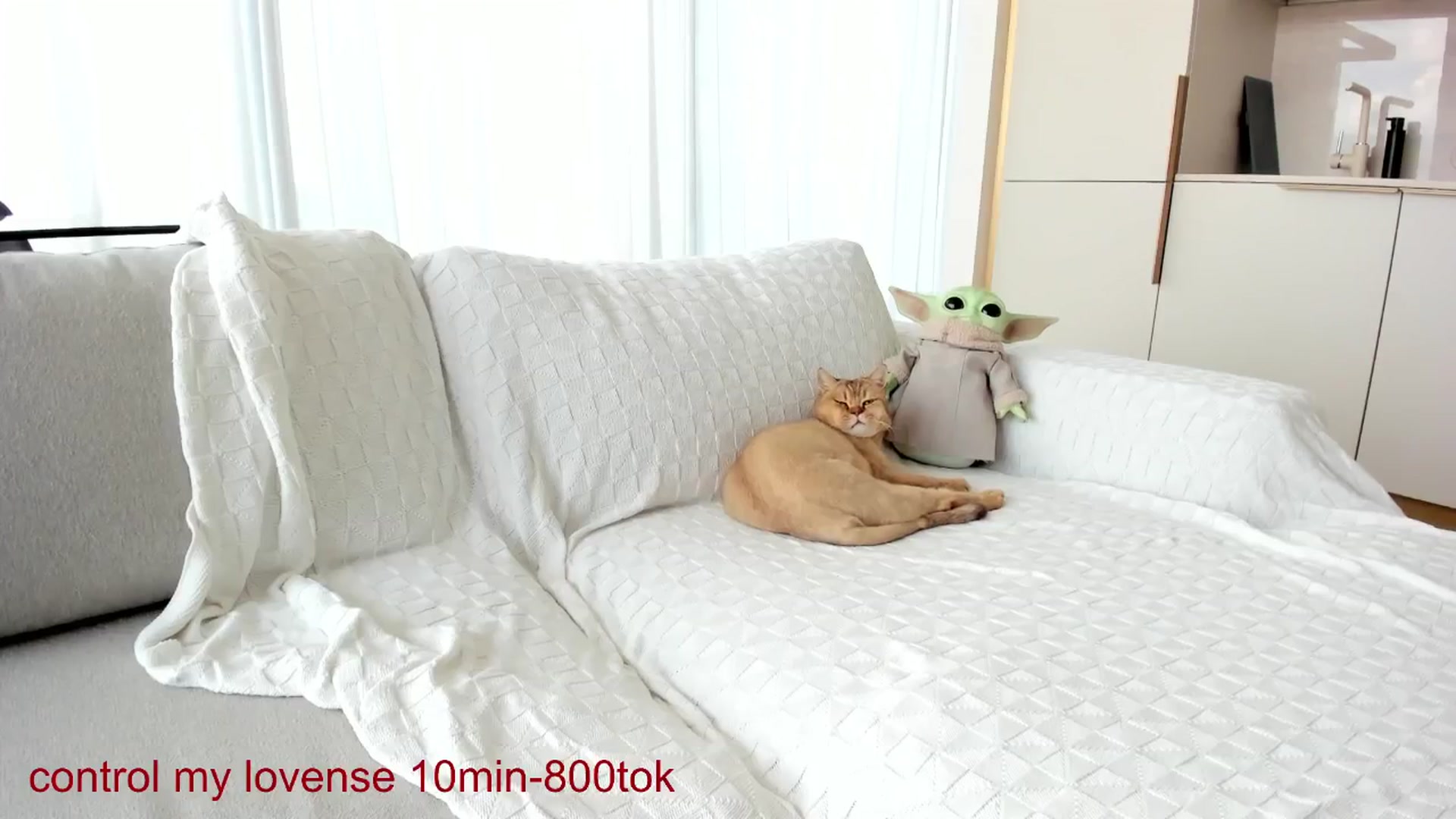 Gallery image thumbnail from CarolinaHerer's myfreecams stream on, 04/17/2026, 12:18 image 10 of 20