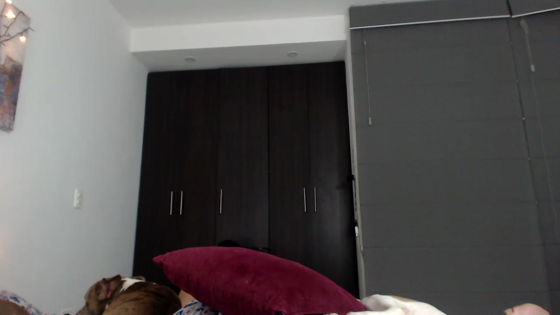 Gallery image thumbnail from CarolineMel's myfreecams stream on, 11/25/2022, 05:18 image 14 of 20