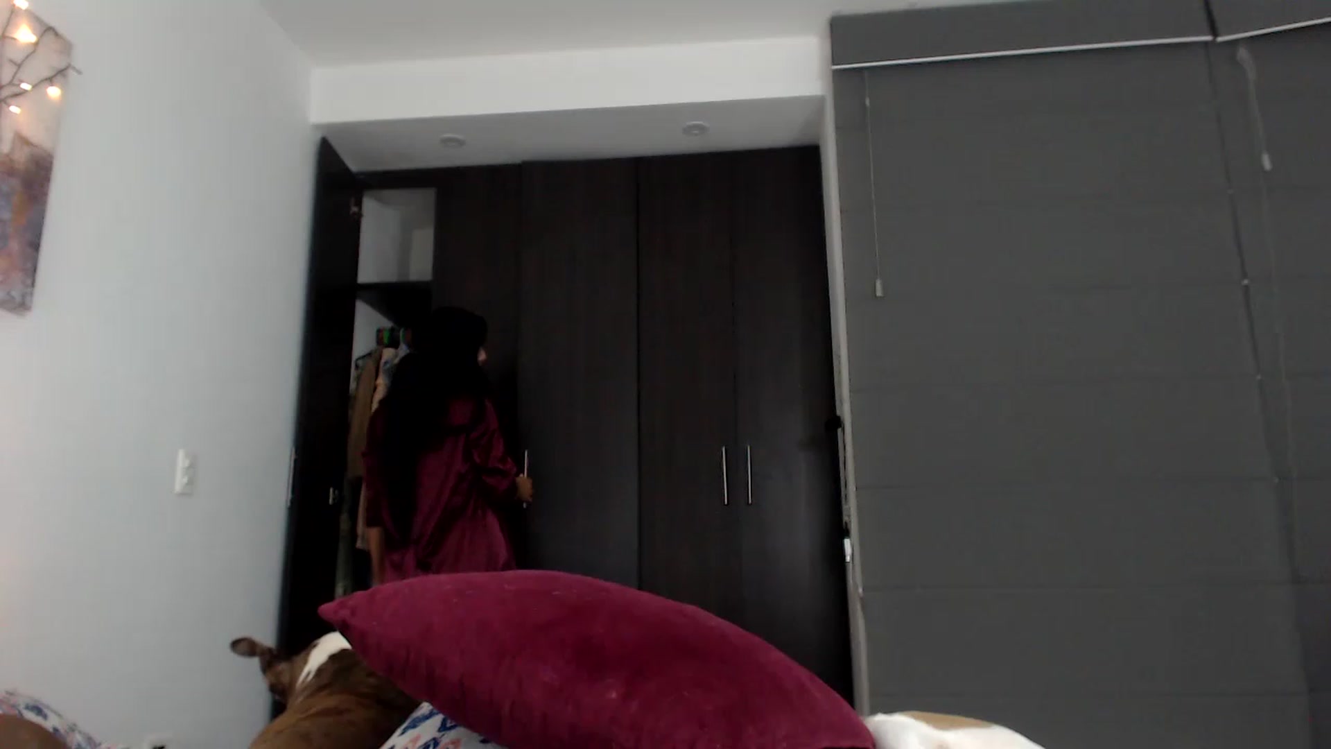 Gallery image thumbnail from CarolineMel's myfreecams stream on, 11/25/2022, 05:18 image 17 of 20
