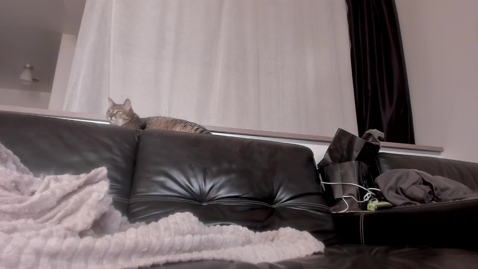 Gallery image thumbnail from Caroline_Bell's myfreecams stream on, 05/02/2024, 14:12 image 12 of 20