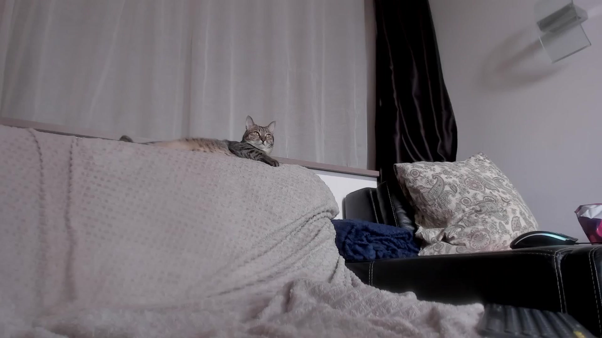 Gallery image thumbnail from Caroline_Bell's myfreecams stream on, 08/30/2024, 13:34 image 20 of 20