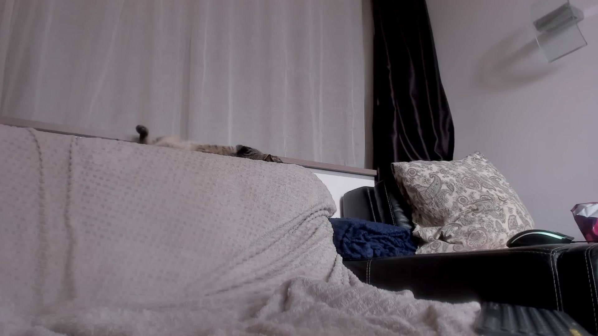 Gallery image thumbnail from Caroline_Bell's myfreecams stream on, 08/30/2024, 13:34 image 19 of 20